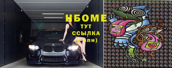 молекула духа Верхний Тагил
