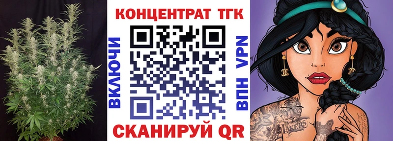 ОМГ ОМГ ссылки  Новоржев  Дистиллят ТГК THC oil 