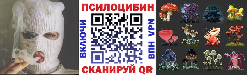 площадка состав  Новоржев  Псилоцибиновые грибы прущие грибы 